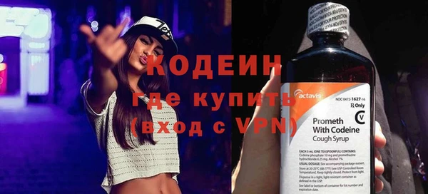 спиды Богородицк