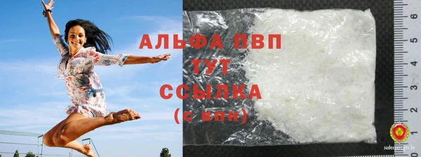 спиды Богородицк