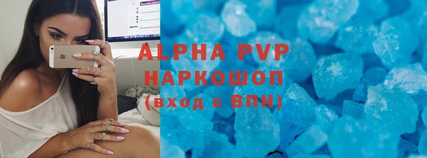 спиды Богородицк