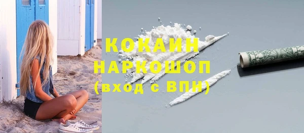 ПСИЛОЦИБИНОВЫЕ ГРИБЫ Богданович