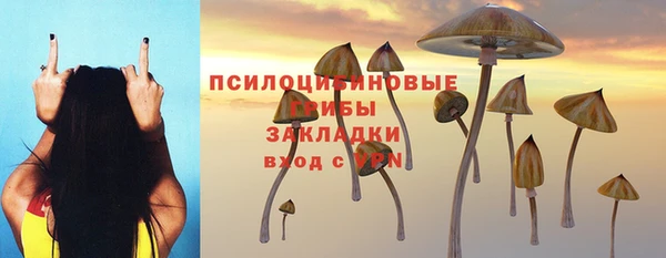 таблы Богородск
