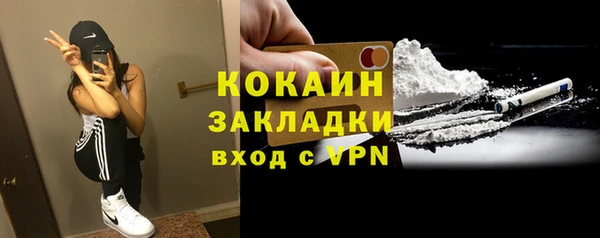 спиды Богородицк