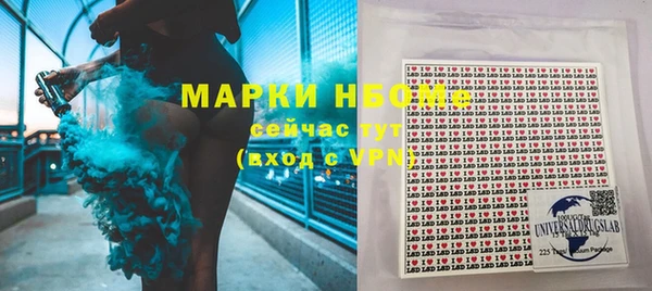 спиды Богородицк