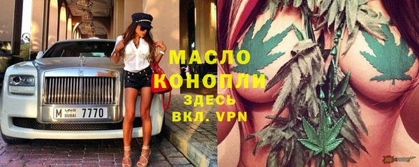 спиды Богородицк