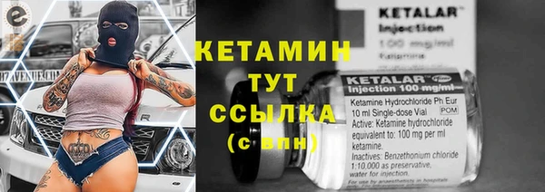 спиды Богородицк